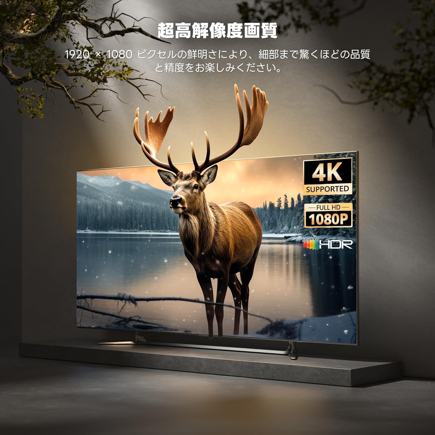 ETOE Google TV ボックス (Netflix 認定)